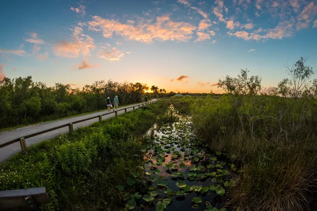 12 Best Hiking Trails in Everglades National Park