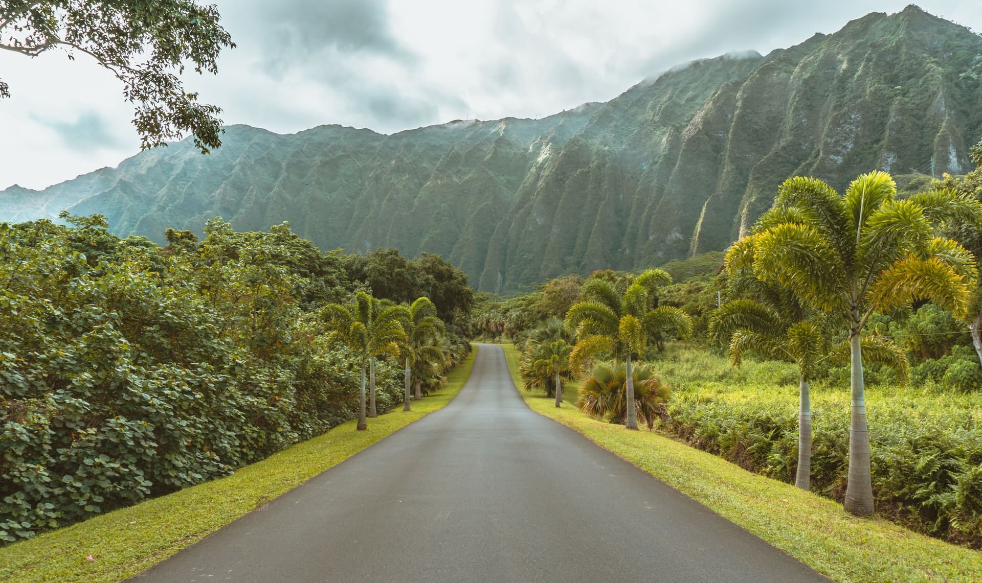 Ho&#39;omaluhia Botanical Garden Travel Guide