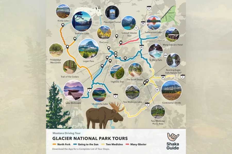 An illustrated Shaka Guide driving tour map of Glacier National Park featuring four color-coded routes — North Fork, Going to the Sun, Two Medicine, and Many Glacier — with stops including Logan Pass, Grinnell Glacier Trail, Lake McDonald, and Avalanche Lake, decorated with a moose, mountain goat, and butterfly illustration.