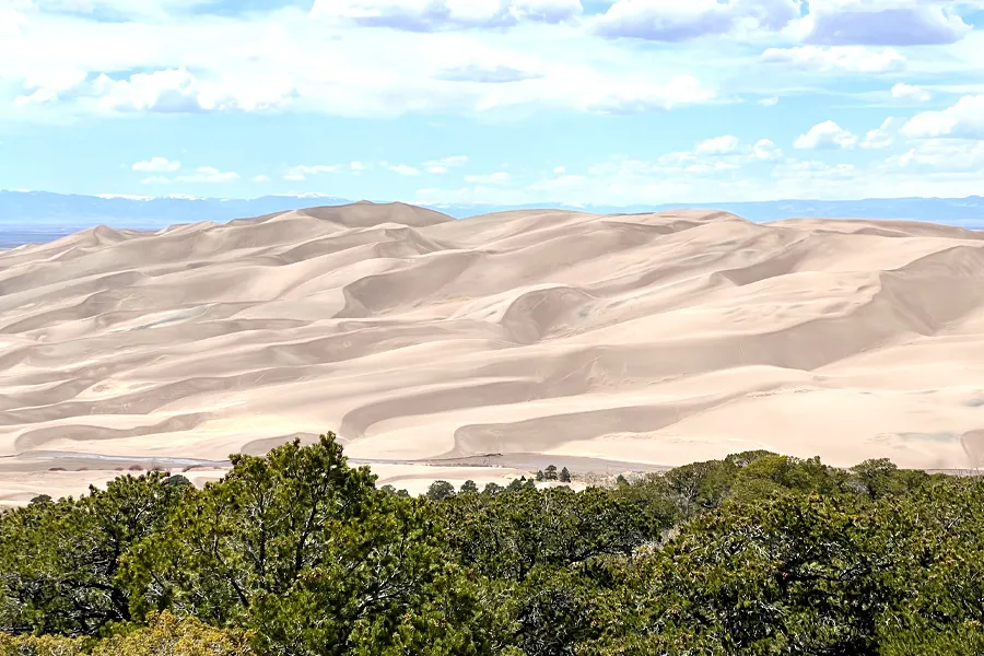 Vast, rippling sand dunes stretch across the horizon at Great Sand Dunes National Park, viewed over a foreground of green pinyon and juniper trees with distant snow-capped mountains visible under a partly cloudy sky.