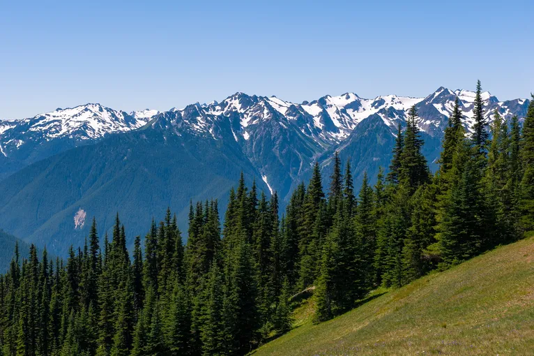 Olympic National Park Audio Driving Tour