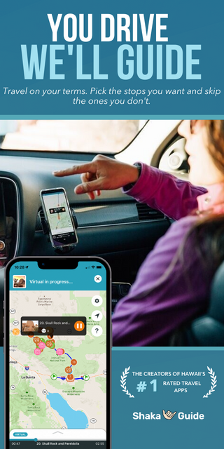 Grand Canyon West Rim vs South Rim: Which Should You Visit?