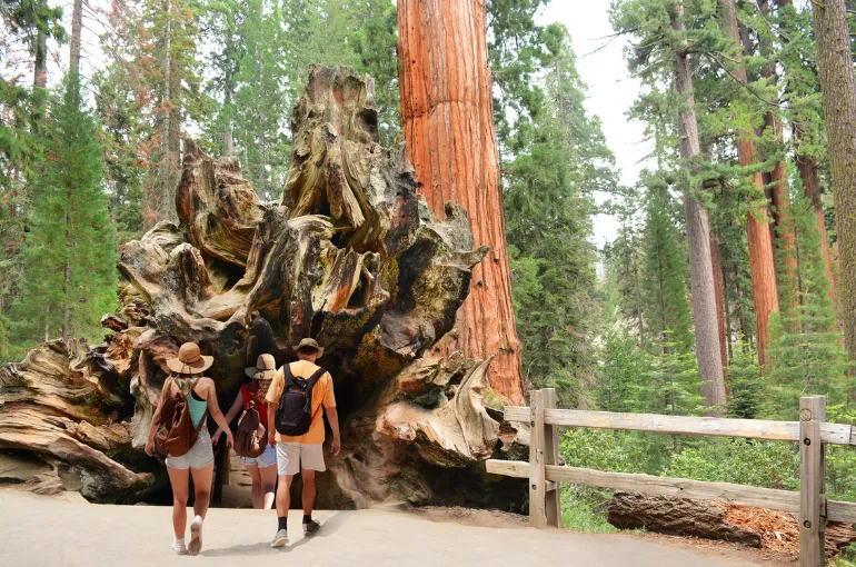 Kings Canyon National Park – Self-Guided Audio Driving Tour