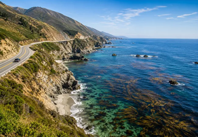 Kelp Forests on the Pacific Coast Highway | Shaka Stories
