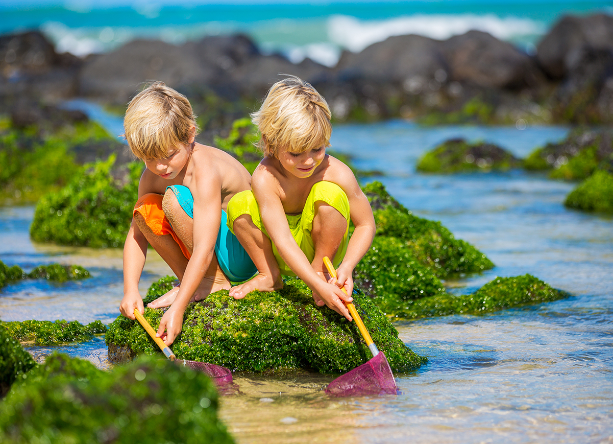 10 Things to Do on Oahu With Kids