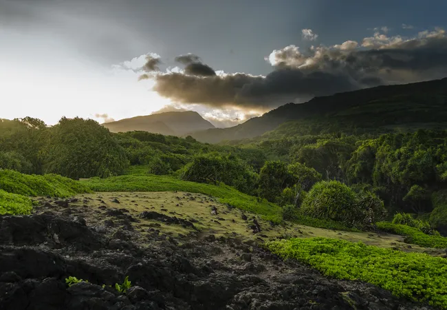 A dramatic sunset casts golden light over a rugged Hawaiian pasture, with dark volcanic rock and green hills.