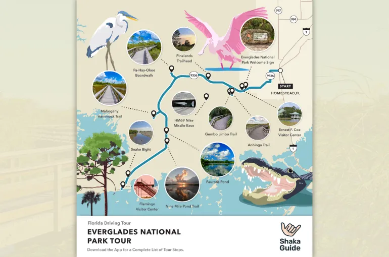 Everglades National Park Travel Guide: Ultimate Tips for Adventure