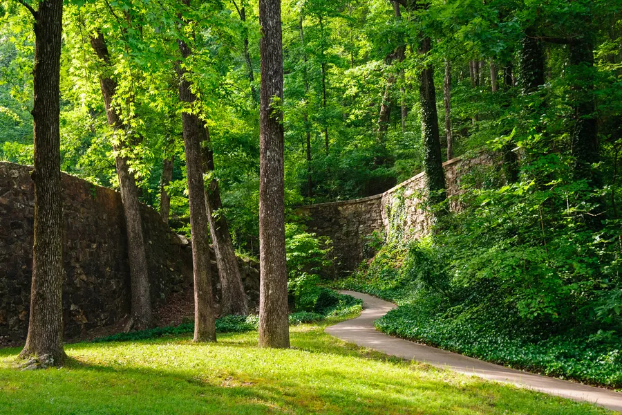 A winding paved path curves through a lush, sun-dappled forest flanked by historic stone retaining walls and ivy-covered slopes in Hot Springs National Park.