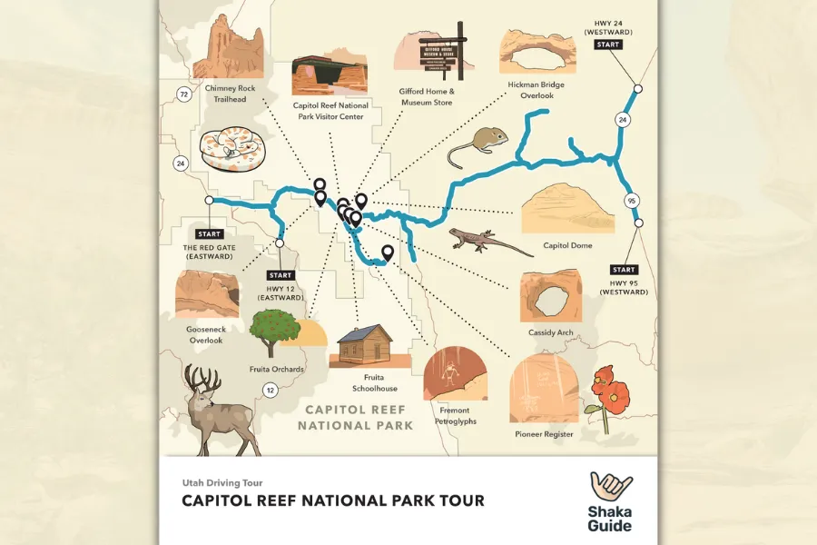 Illustrated map of Capitol Reef National Park showing the driving tour route, major stops, trailheads, and scenic viewpoints across the park.
