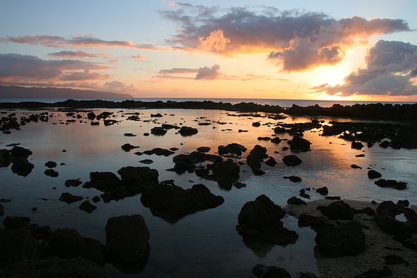 Shark's Cove / KenVanVleck, CC BY-SA 3.0, via Wikimedia Commons