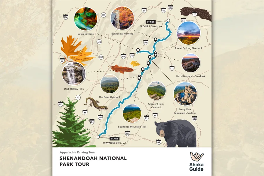 Illustrated map of Shenandoah National Park showing the driving tour route, major overlooks, waterfalls, trails, and scenic stops between Front Royal and Waynesboro.