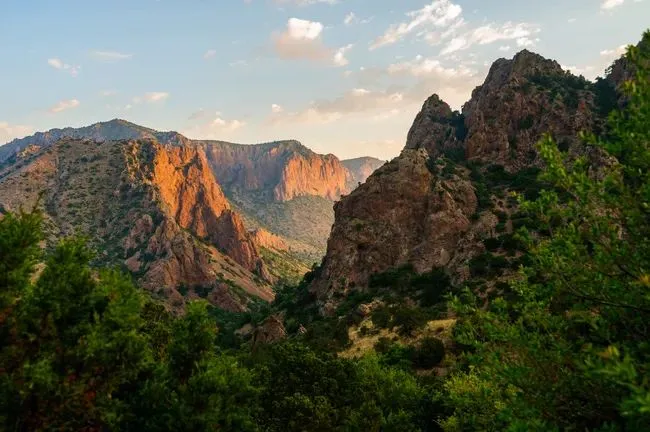 Wildlife Guide: What to Spot in Big Bend National Park