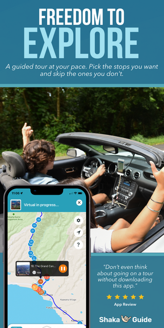 Hawaii Holiday Gift Guide - Local Gifts Everyone Will Love