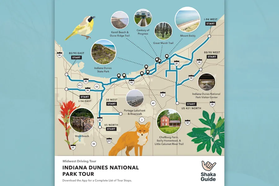 An illustrated map of the Indiana Dunes National Park driving tour by Shaka Guide, featuring a blue route with circular photos of landmarks like Mount Baldy and West Beach, accented by illustrations of a yellow bird, a red wildflower, and a fox.