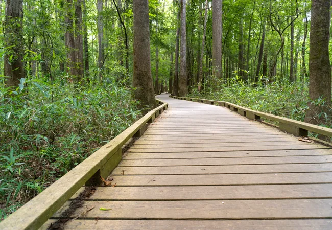 Know Before You Go, Congaree National Park