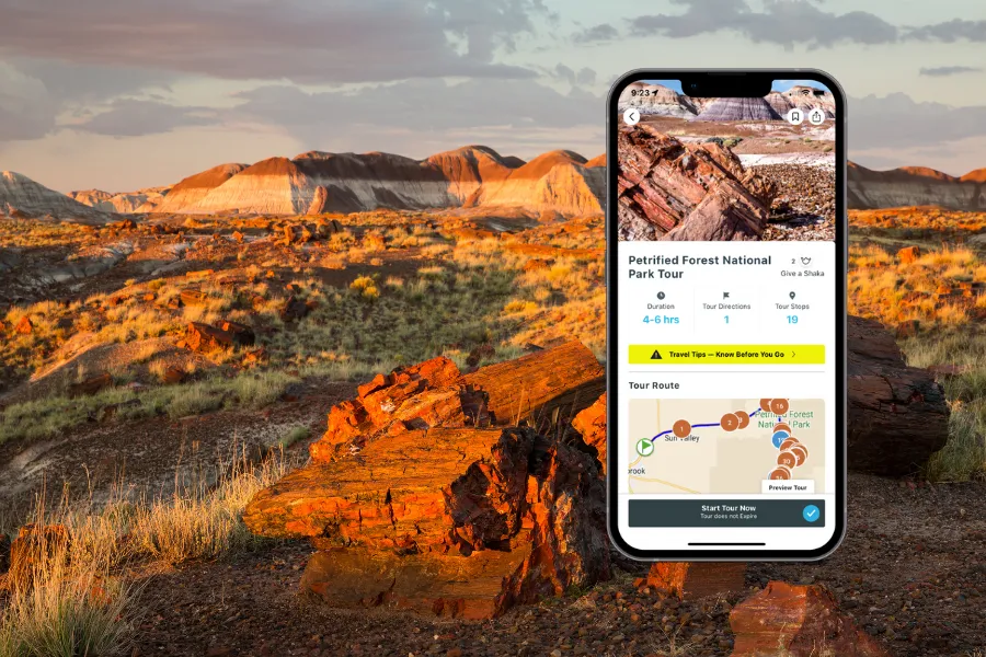 Smartphone displaying a tour app over a sunlit Petrified Forest landscape with striped desert hills, rocky ground, and warm evening light.
