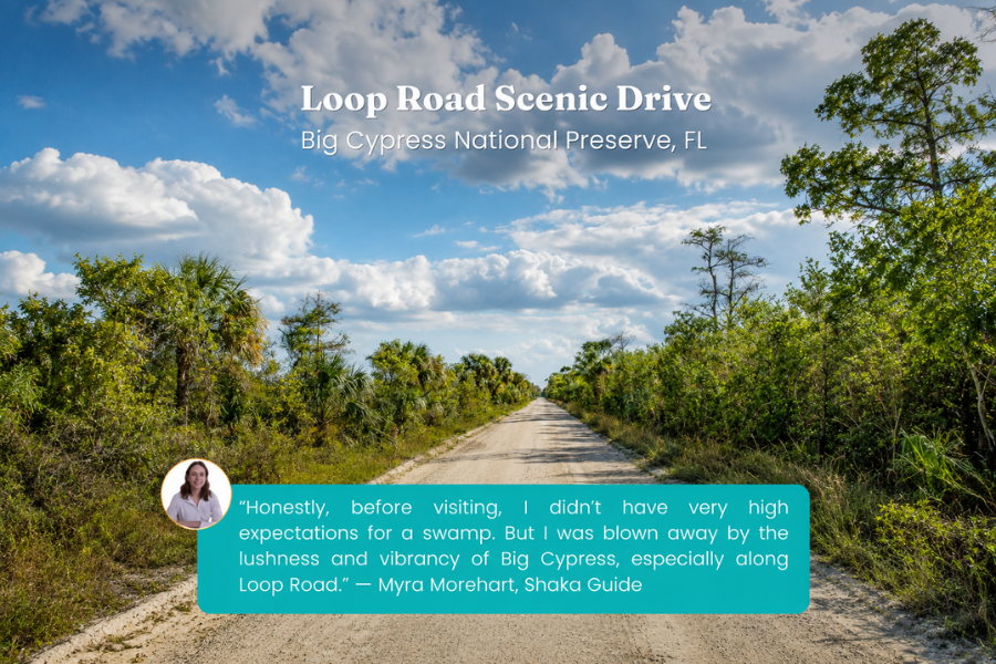 A straight scenic road stretches through the lush wetlands of Big Cypress National Preserve under a sky filled with fluffy clouds. The image includes a traveler quote about the beauty of the preserve.