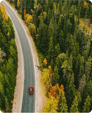 Scenic Drives