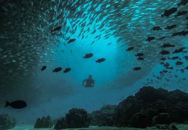 Island of Hawaii Visitors Bureau (IHVB) / Kawika Singson