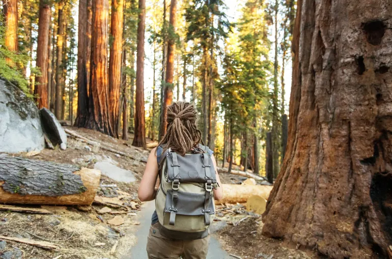 Sequoia National Park Audio Driving Tour