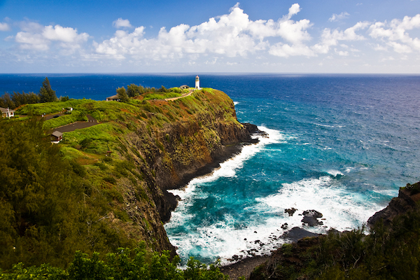 Kilauea Point / Hawaii Tourism Authority (HTA) / Tor Johnson