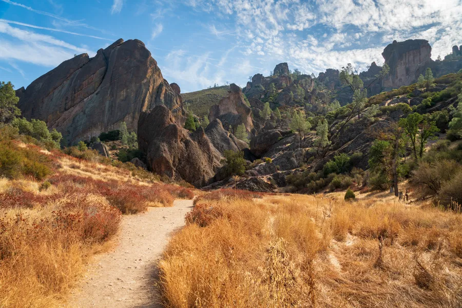 A hiking trail winds through the dramatic rock formations of Pinnacles National Park beneath a bright blue sky streaked with wispy clouds. Golden grasses and low shrubs line the dusty path, leading toward towering volcanic spires, massive boulders, and rugged cliffs scattered across the landscape. Sparse pine trees dot the hillsides, highlighting the park’s distinctive blend of rocky terrain and dry California chaparral.