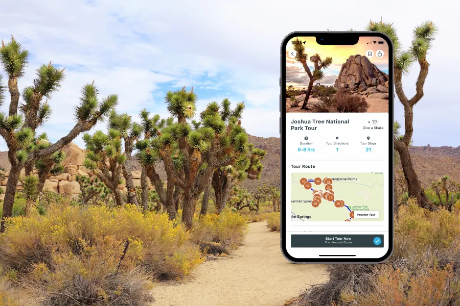 Smartphone displaying a tour app in Joshua Tree National Park, surrounded by desert trails, boulders, and clusters of Joshua trees.