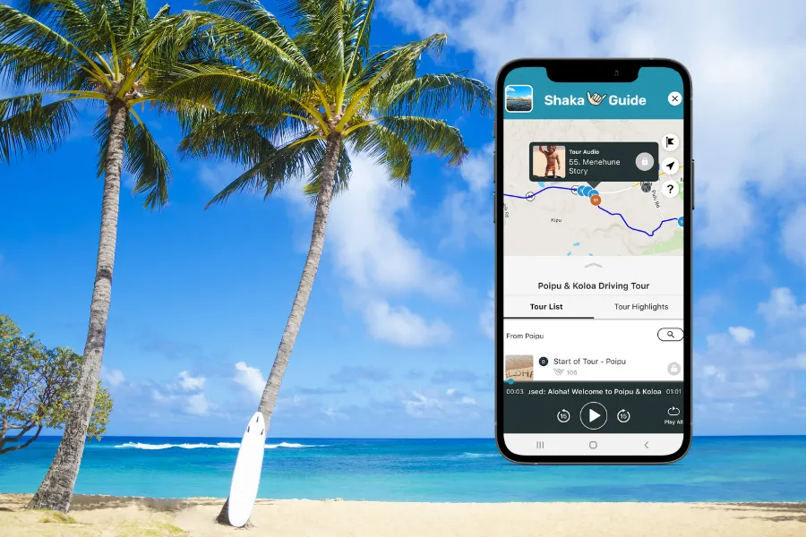 Smartphone displaying the Shaka Guide app on a sunny beach with tall palm trees, turquoise water, and a surfboard resting in the sand.