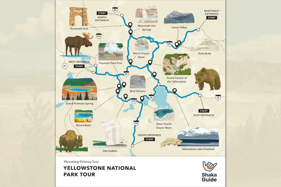 Illustrated map of Yellowstone National Park showing the driving tour route, major geyser basins, landmarks, and scenic stops across the park.