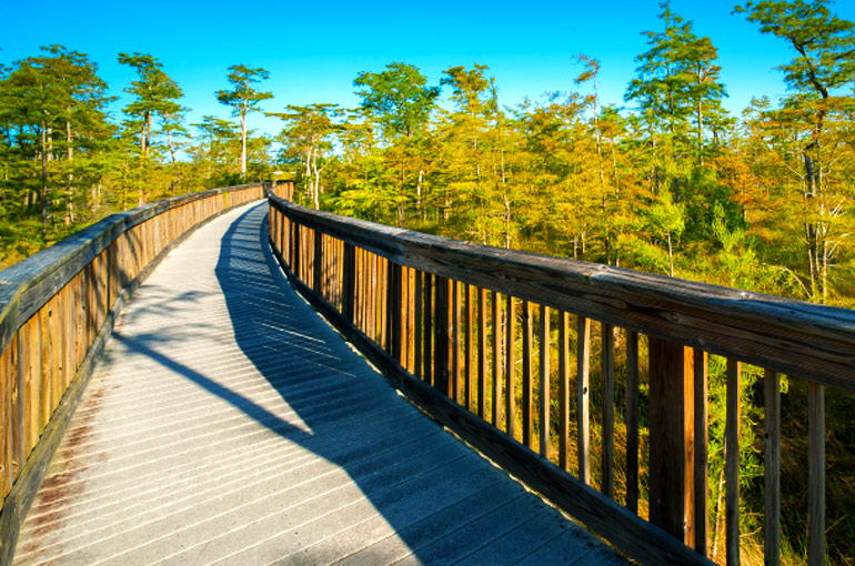 Big Cypress National Preserve – Self-Guided Audio Tour