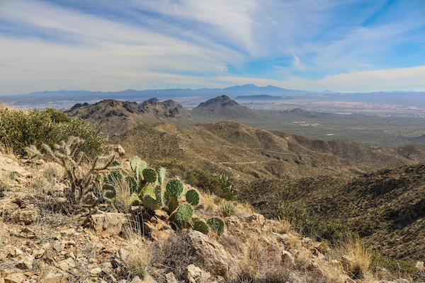 7 Amazing Hikes in Saguaro National Park