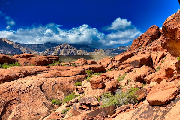 10 Best Hikes and Trails in Red Rock Canyon National Conservation