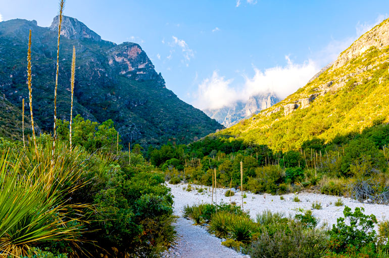 Guadalupe Mountains National Park – Self-Guided Audio Tour