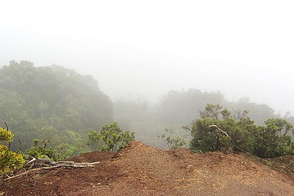 Koke'e State Park Pihea Lookout / Robert Linsdell from St. Andrews, Canada, CC BY 2.0, via Wikimedia Commons