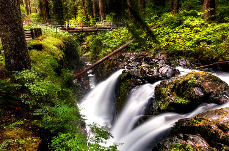 Olympic National Park Audio Driving Tour
