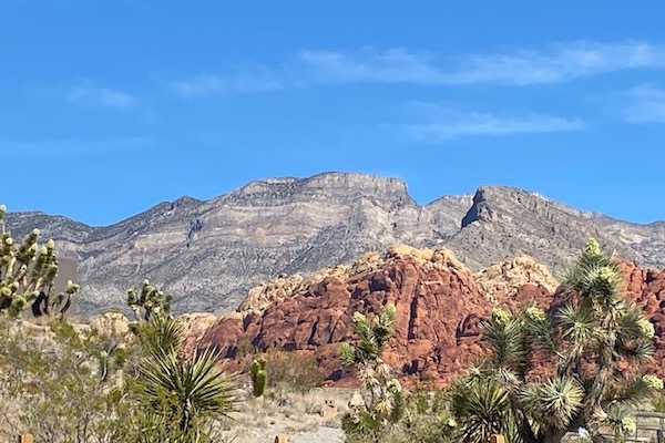 The Ultimate Red Rock Canyon Travel Guide