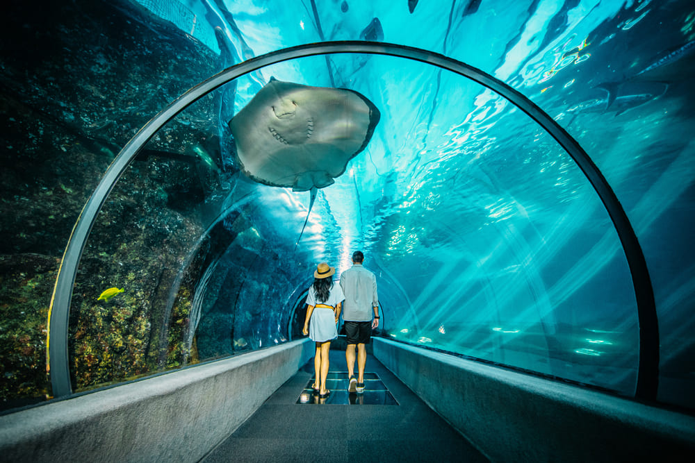 Maui Ocean Center | Photo by Hawaii Tourism Authority (HTA) / Tommy Lundberg