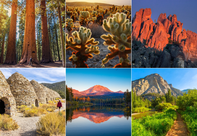 Top National Parks to Visit Near Yosemite National Park