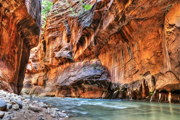 Zion Utah National Park Shaka Guide