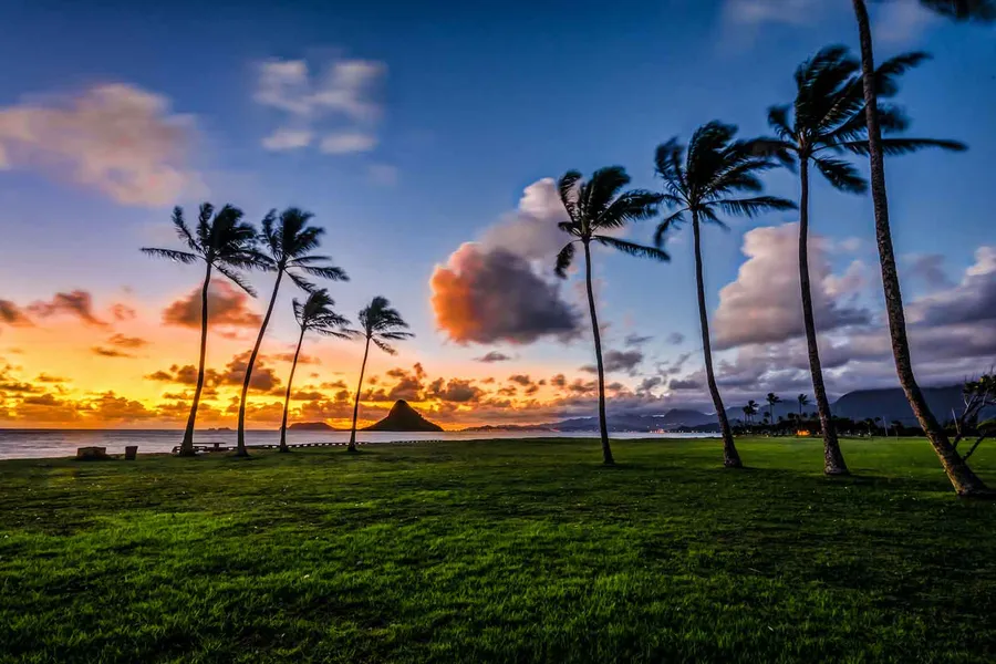 Palm trees sway over a grassy shoreline at sunset with ocean views, glowing clouds, and distant mountains in the background.