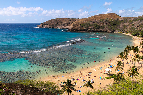 East Oahu Shoreline Drive Itinerary Shaka Guide