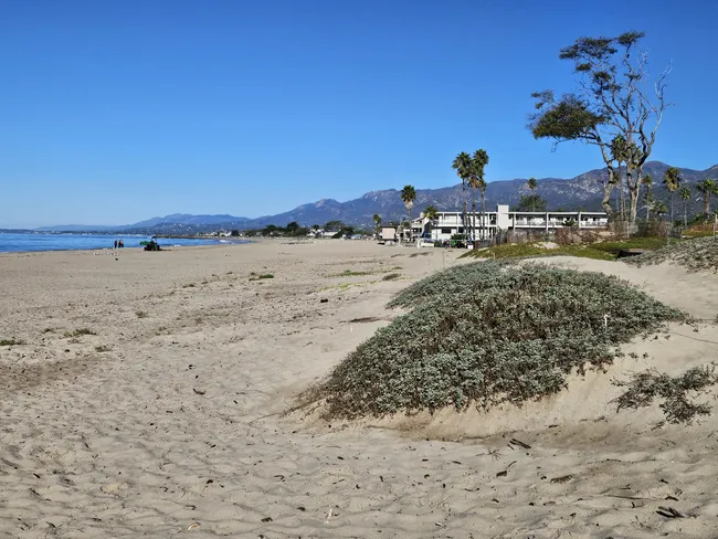 A wide-angle view of an expansive sandy beach under a clear blue sky. In the foreground, low sand dunes are covered with patches of grey-green coastal scrub. In the mid-ground, a white two-story building and several tall palm trees sit near the sand, while a backdrop of rolling blue mountains stretches across the horizon.