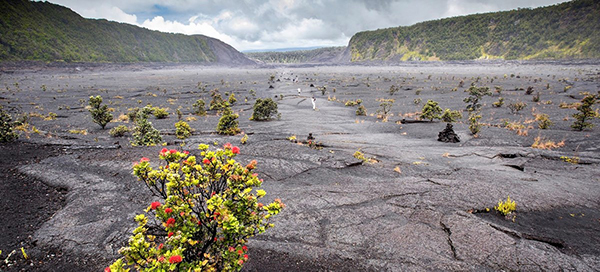 Day Hikes in Big Island