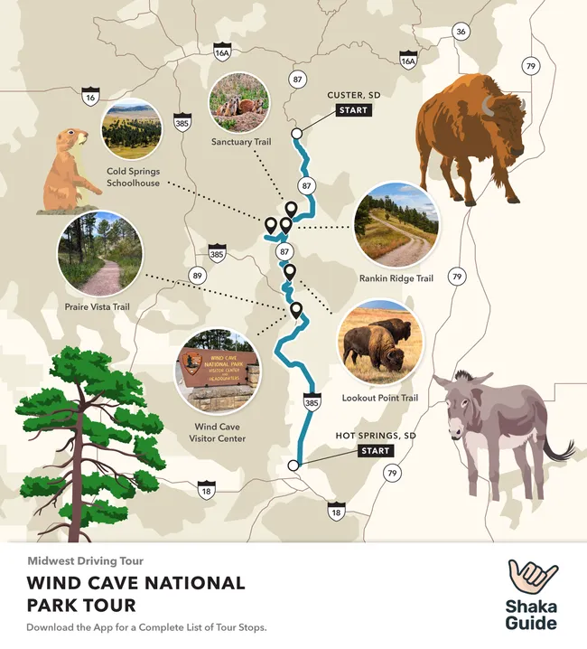  Illustrated driving tour map of Wind Cave National Park, highlighting major stops and trails.