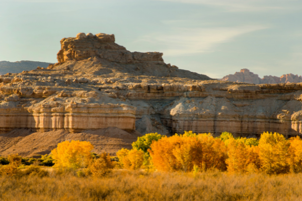 Fall in Canyonlands Utah National Parks