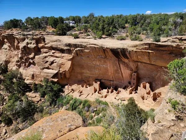 Ancient cliffside dwellings nestled beneath a massive sandstone overhang, surrounded by desert vegetation and rugged canyon terrain.