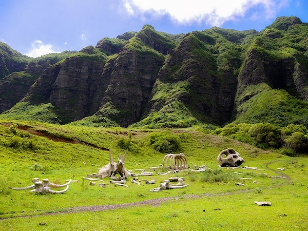 Kualoa Ranch - Thinks to Do on Oahu on A Rainy Day