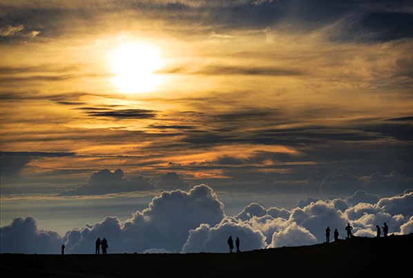 Hawaii Bucket List Oahu Shaka Guide