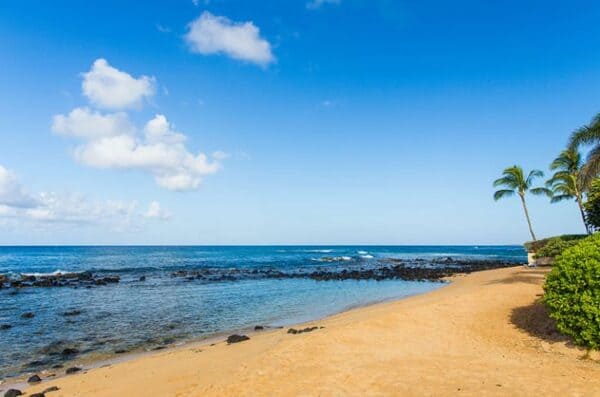 baby beach kauai shaka guide audio driving tour guide poipu koloa