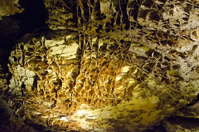 Intricate honeycomb-like boxwork formations on the cave ceiling at Wind Cave National Park, highlighted by warm artificial lighting.